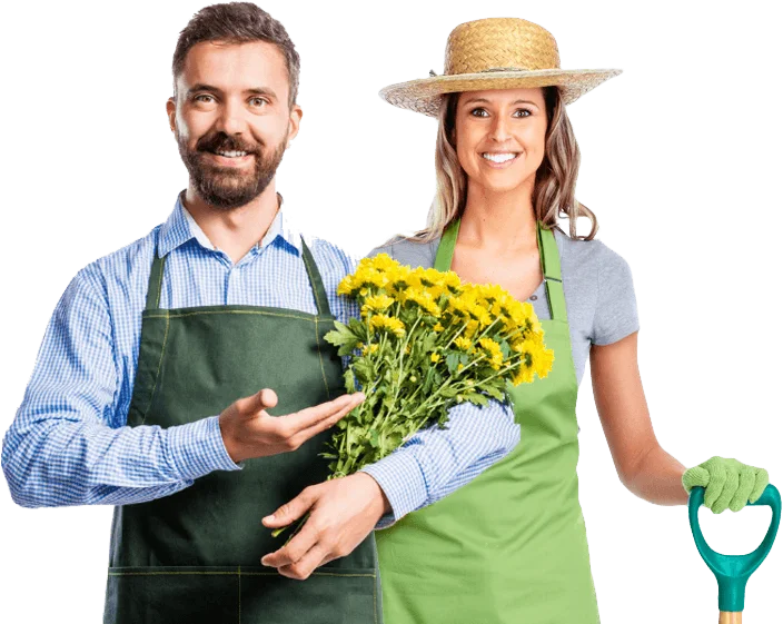Best Garden Maintance Service In Dubai