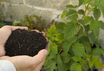 Fertilization & Soil Treatment
