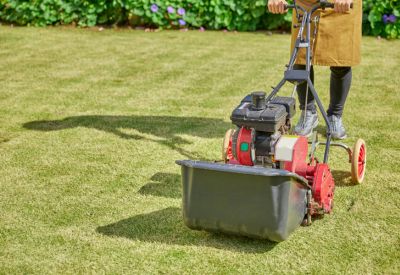 Lawn Care and Grass Cutting